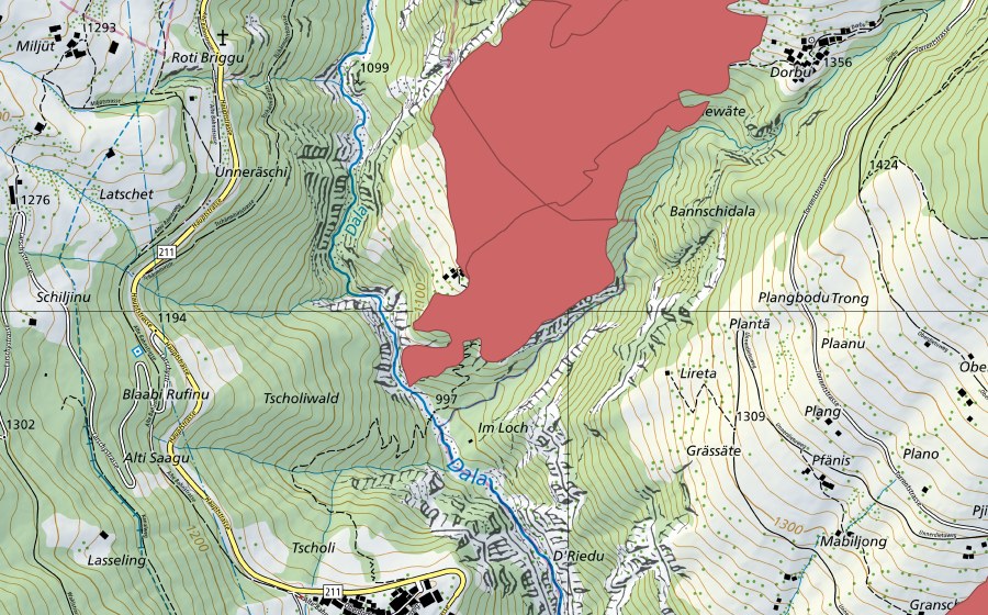 Carte nationale swisstopo avec le périmètre protégé de Dorbu (Prairie sèche)