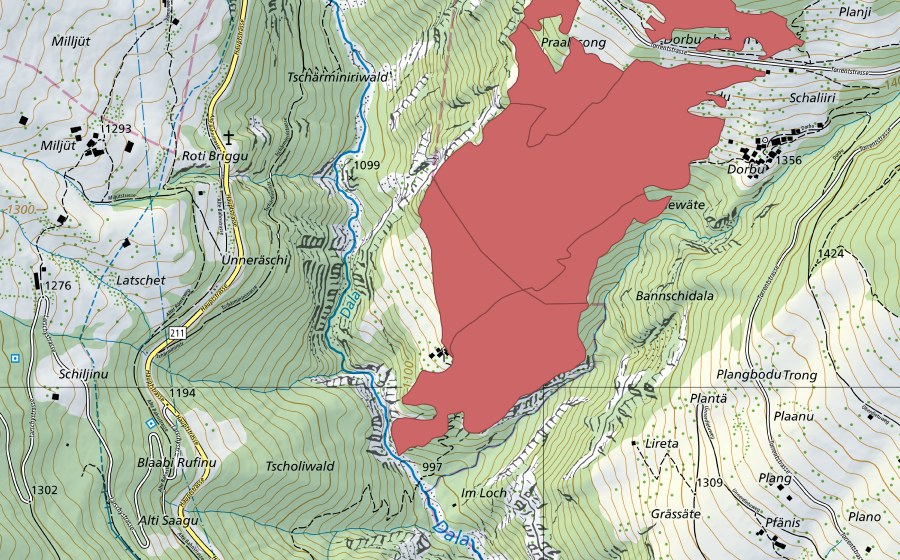 Carte nationale swisstopo avec le périmètre protégé de Dorbu (Prairie sèche)