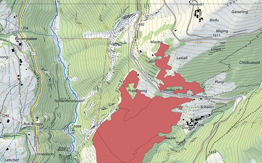 swisstopo national map showing the protected perimeter of Dorbu (Dry meadow)