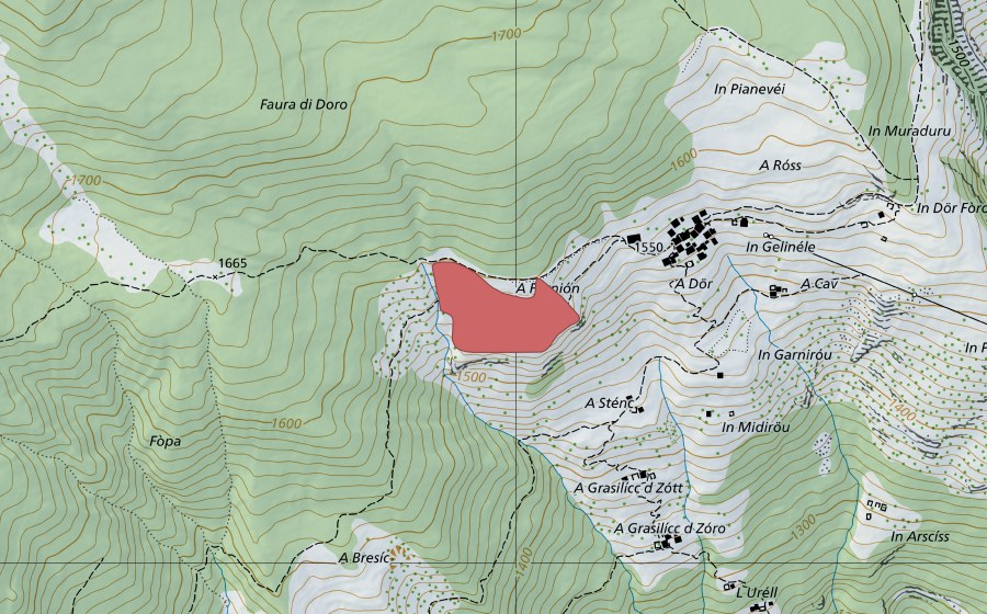 swisstopo national map showing the protected perimeter of Doro (Dry meadow)