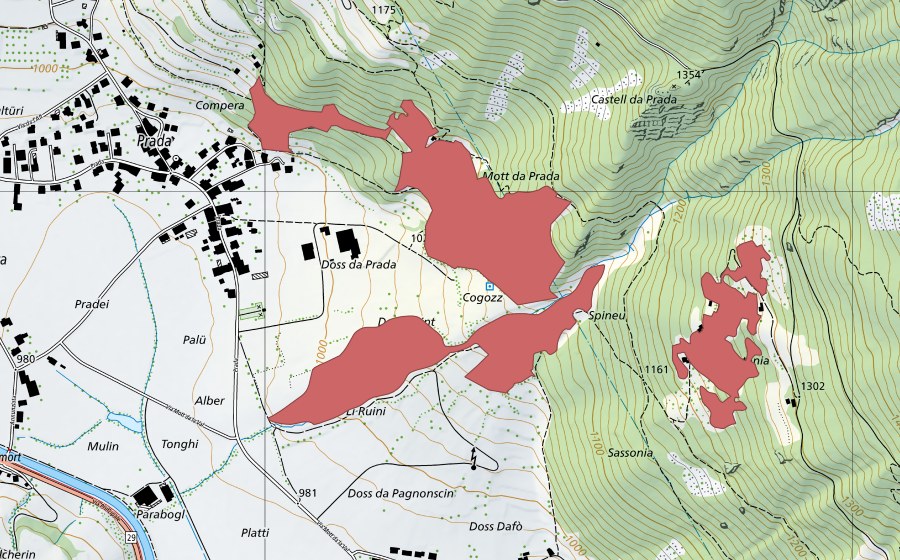 Landeskarte swisstopo mit dem Schutzperimeter von Doss Daint (Trockenwiese)