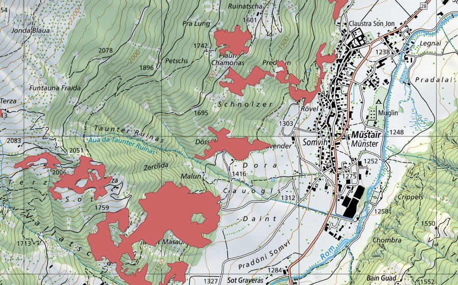 Carte nationale swisstopo avec le périmètre protégé de Döss dal Schübel (Prairie sèche)