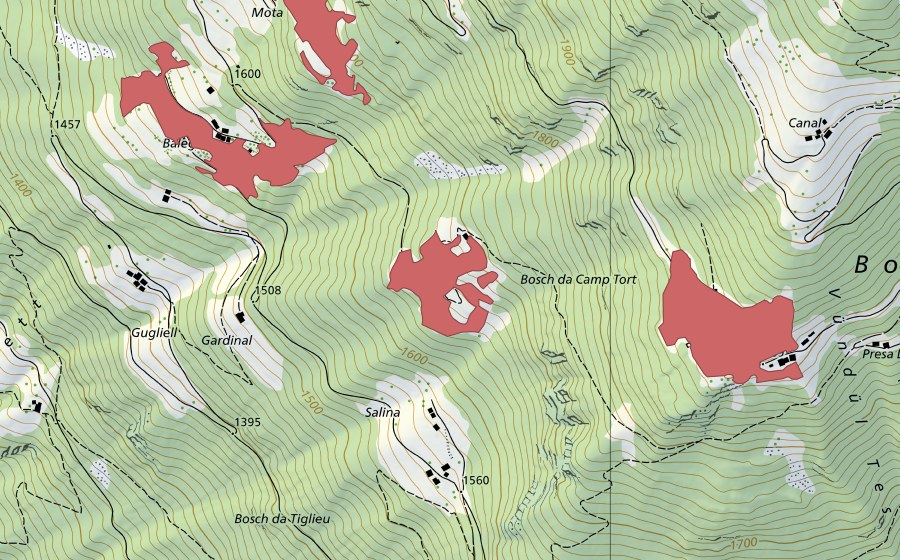 Landeskarte swisstopo mit dem Schutzperimeter von Doss (Trockenwiese)