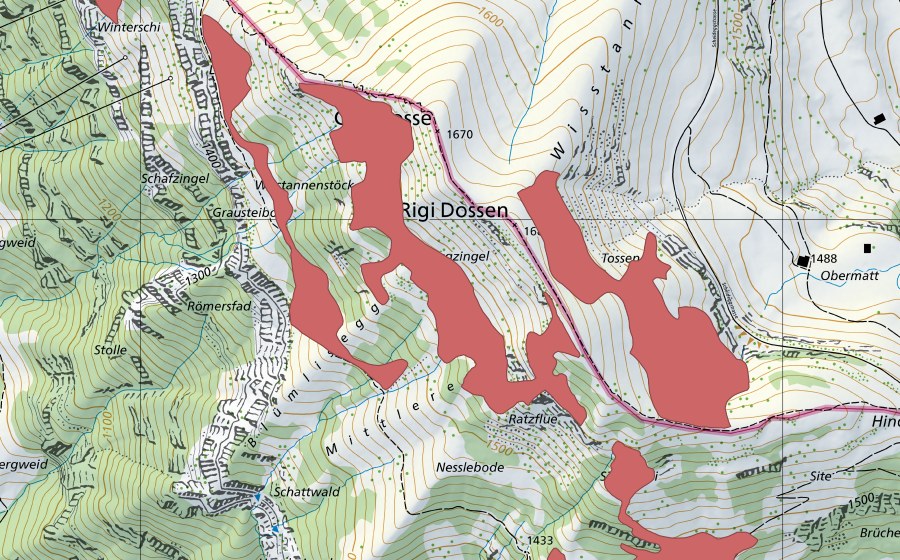 Landeskarte swisstopo mit dem Schutzperimeter von Dossen (Trockenwiese)