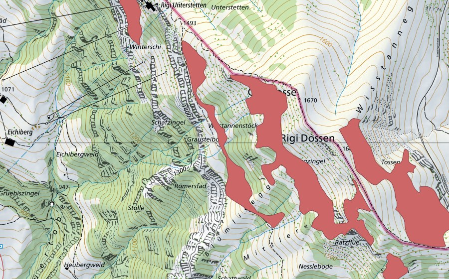 swisstopo national map showing the protected perimeter of Dossen (Dry meadow)