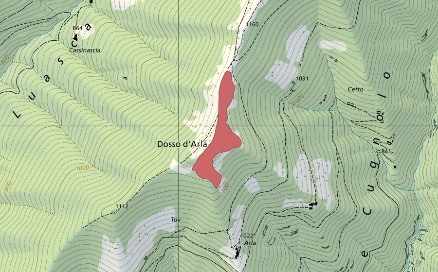 swisstopo national map showing the protected perimeter of Dosso d'Arla (Dry meadow)