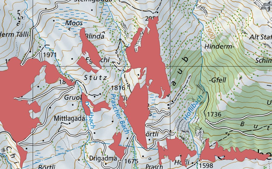 Landeskarte swisstopo mit dem Schutzperimeter von Drigadma (Trockenwiese)