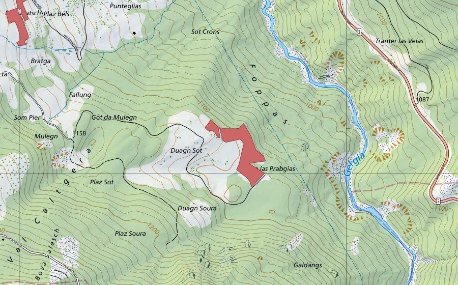 Carte nationale swisstopo avec le périmètre protégé de Duagn (Prairie sèche)