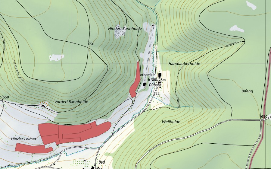 swisstopo national map showing the protected perimeter of Dübach (Dry meadow)