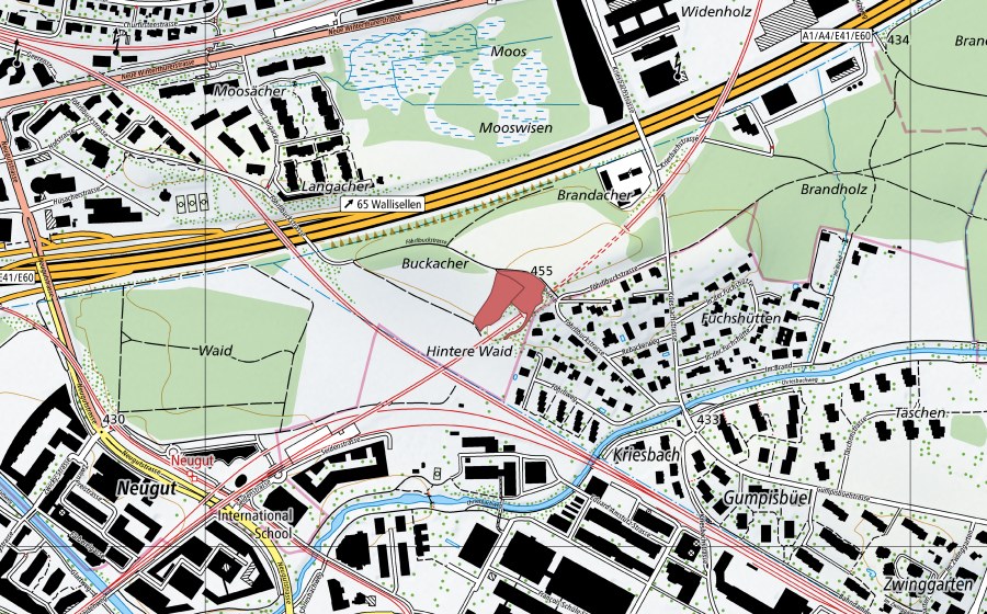 Landeskarte swisstopo mit dem Schutzperimeter von Dübendorf (Trockenwiese)