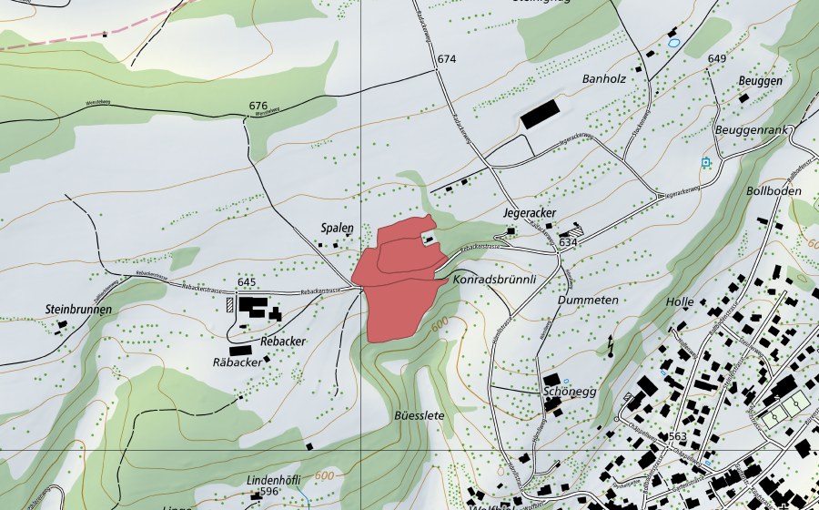 swisstopo national map showing the protected perimeter of Dummeten (Dry meadow)