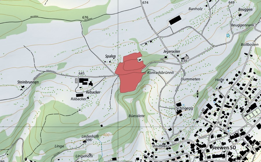 Landeskarte swisstopo mit dem Schutzperimeter von Dummeten (Trockenwiese)