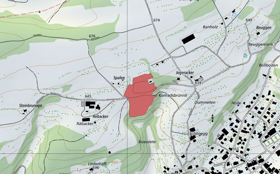 Carte nationale swisstopo avec le périmètre protégé de Dummeten (Prairie sèche)