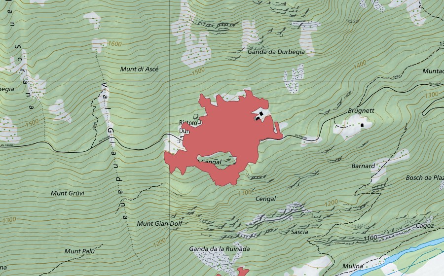 swisstopo national map showing the protected perimeter of Durbegia (Dry meadow)