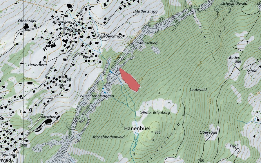 swisstopo national map showing the protected perimeter of Durlaui (Dry meadow)