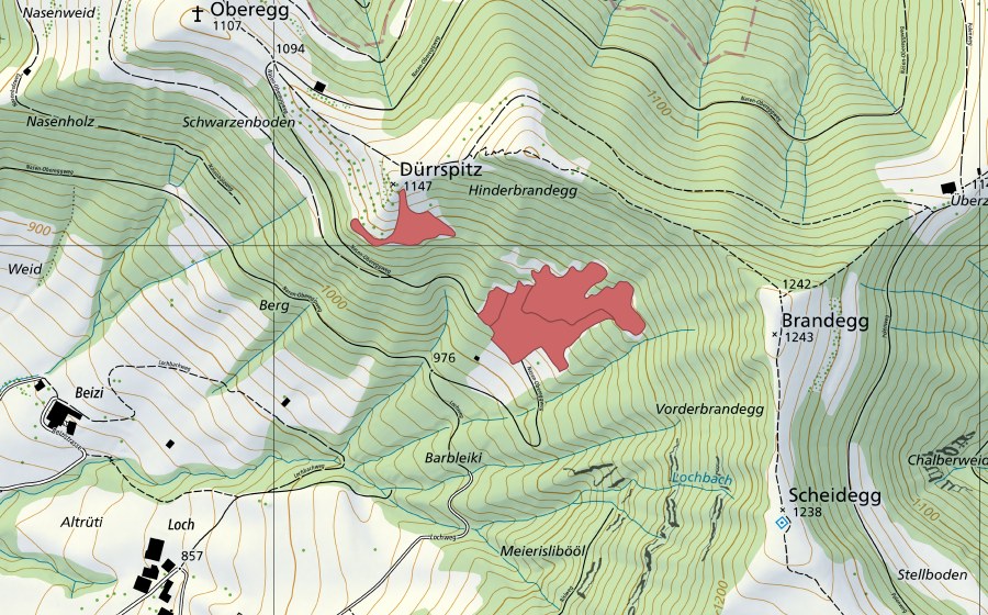 Carte nationale swisstopo avec le périmètre protégé de Dürrspitz (Prairie sèche)