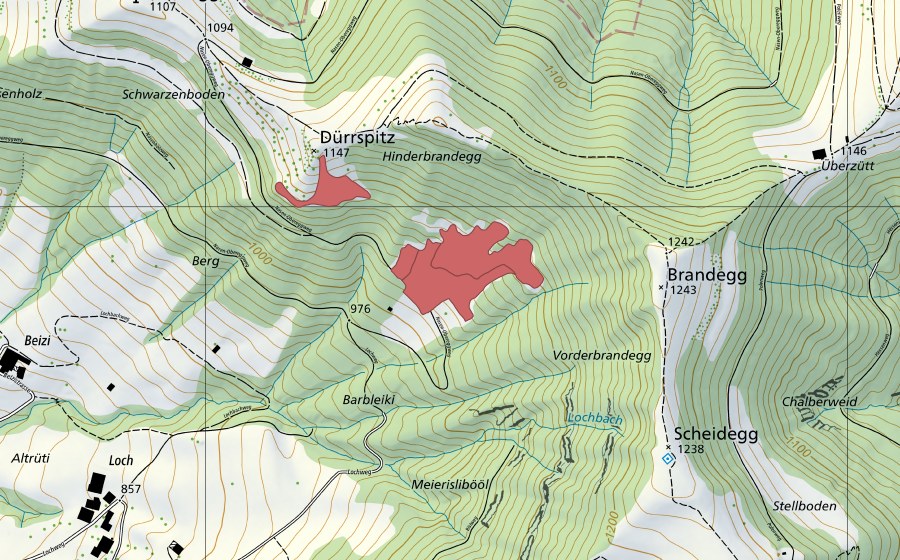 Carte nationale swisstopo avec le périmètre protégé de Dürrspitz (Prairie sèche)