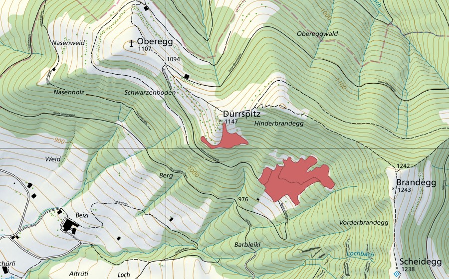 swisstopo national map showing the protected perimeter of Dürrspitz (Dry meadow)
