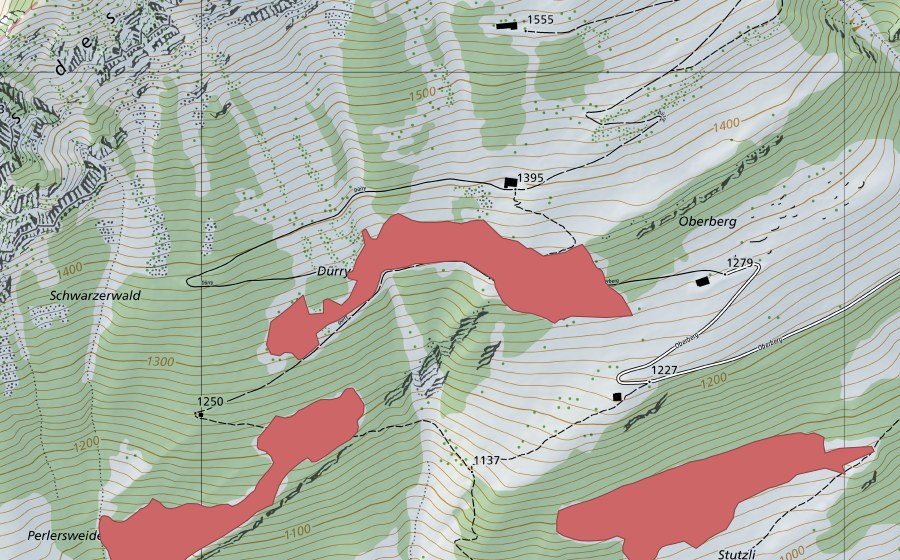 Landeskarte swisstopo mit dem Schutzperimeter von Dürry (Trockenwiese)