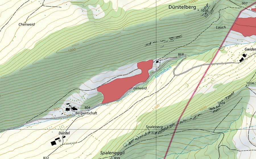 Carte nationale swisstopo avec le périmètre protégé de Dürstel (Prairie sèche)