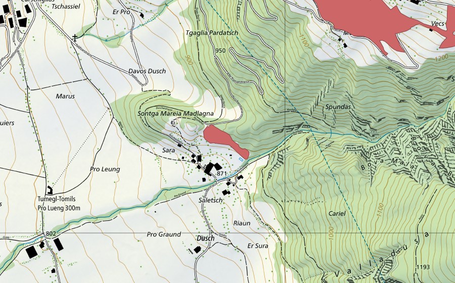 Landeskarte swisstopo mit dem Schutzperimeter von Dusch (Trockenwiese)