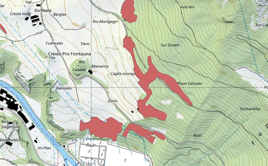 Landeskarte swisstopo mit dem Schutzperimeter von Duven (Trockenwiese)
