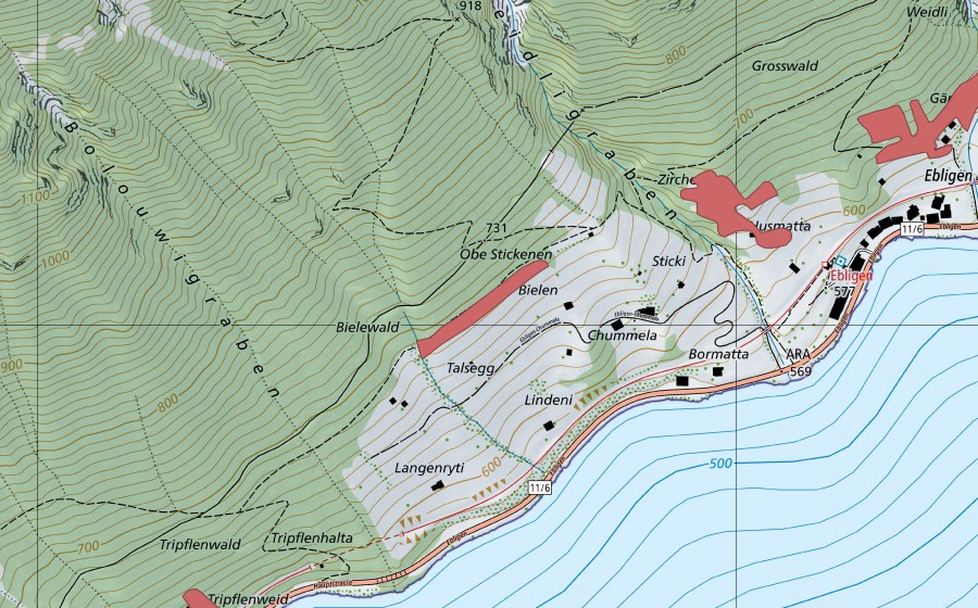 Landeskarte swisstopo mit dem Schutzperimeter von Ebligen (Trockenwiese)