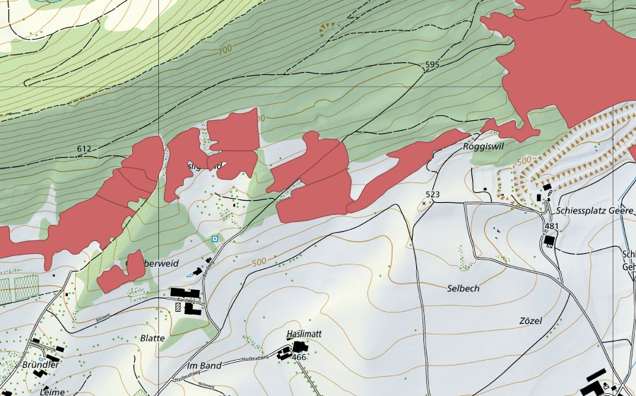 swisstopo national map showing the protected perimeter of Egg (Dry meadow)