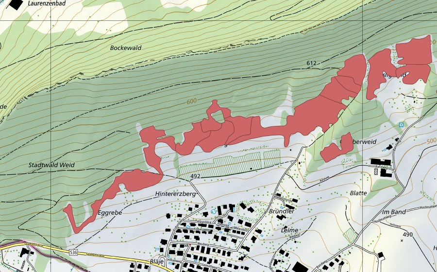 swisstopo national map showing the protected perimeter of Egg (Dry meadow)