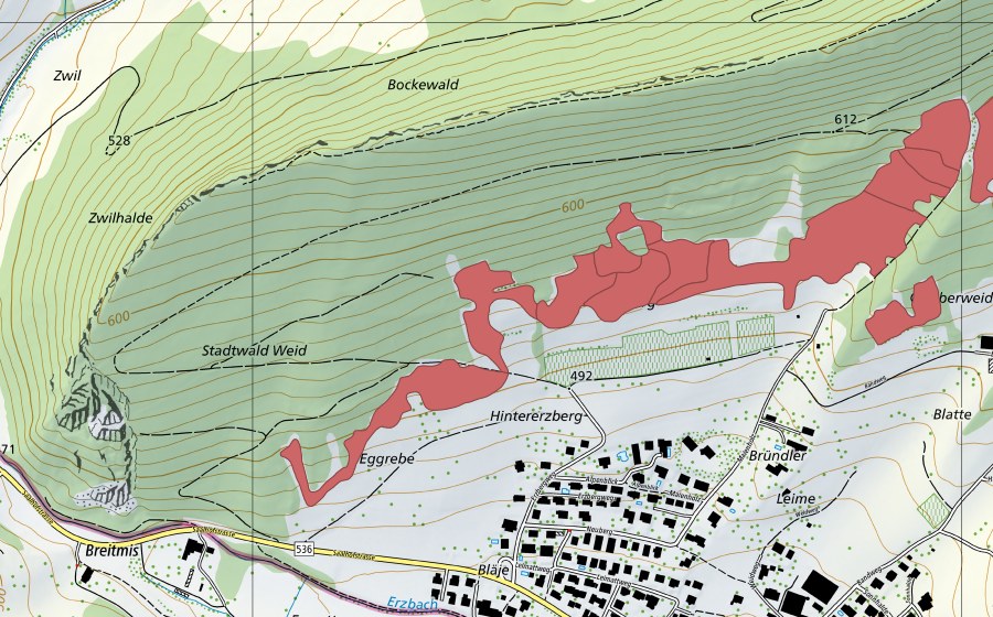 Landeskarte swisstopo mit dem Schutzperimeter von Egg (Trockenwiese)