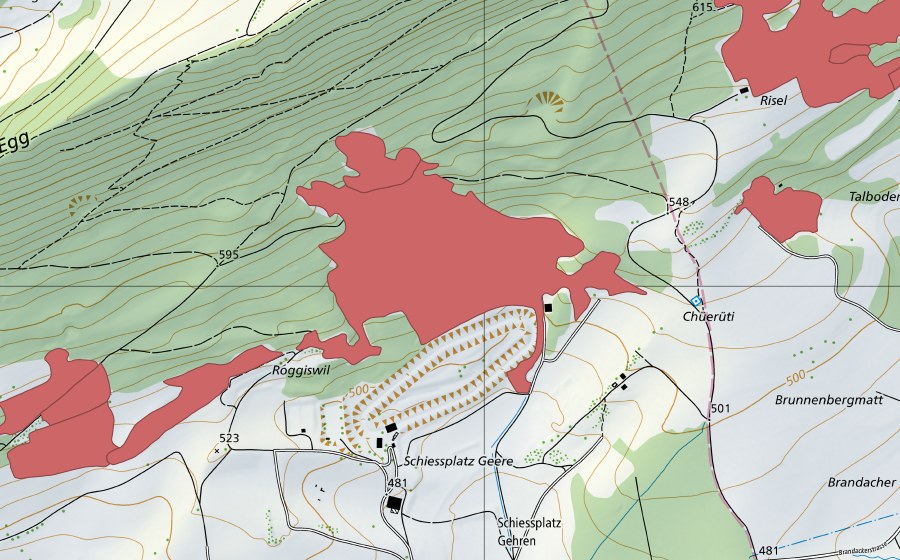 swisstopo national map showing the protected perimeter of Egg (Dry meadow)