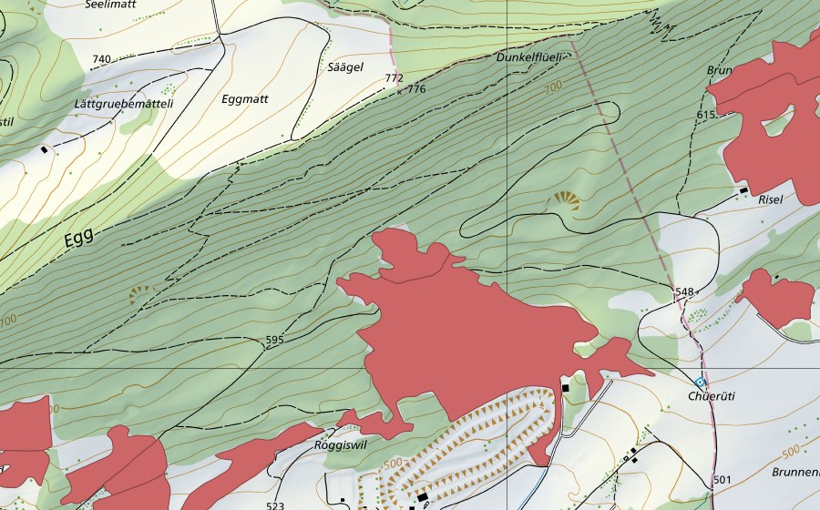 Landeskarte swisstopo mit dem Schutzperimeter von Egg (Trockenwiese)