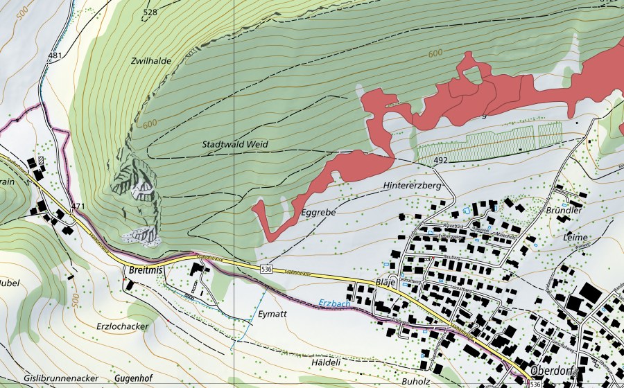 swisstopo national map showing the protected perimeter of Egg (Dry meadow)