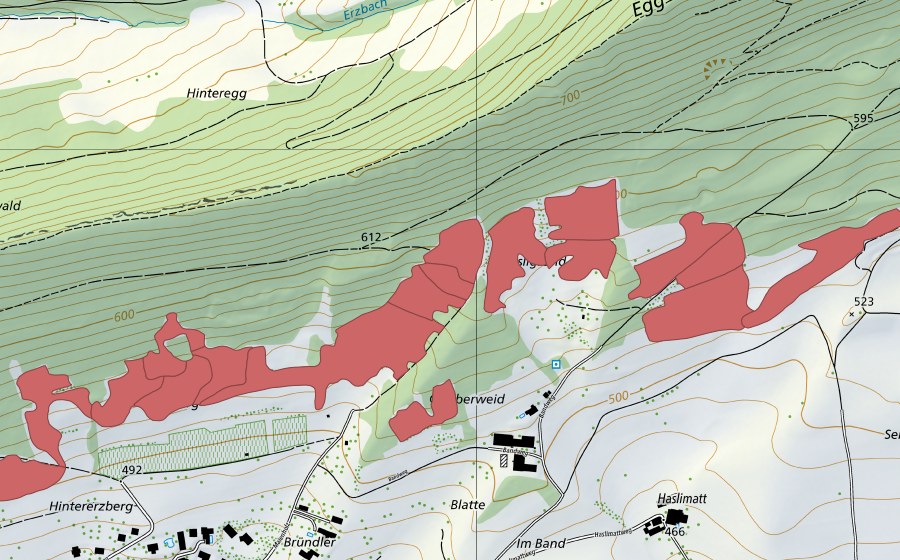 Landeskarte swisstopo mit dem Schutzperimeter von Egg (Trockenwiese)
