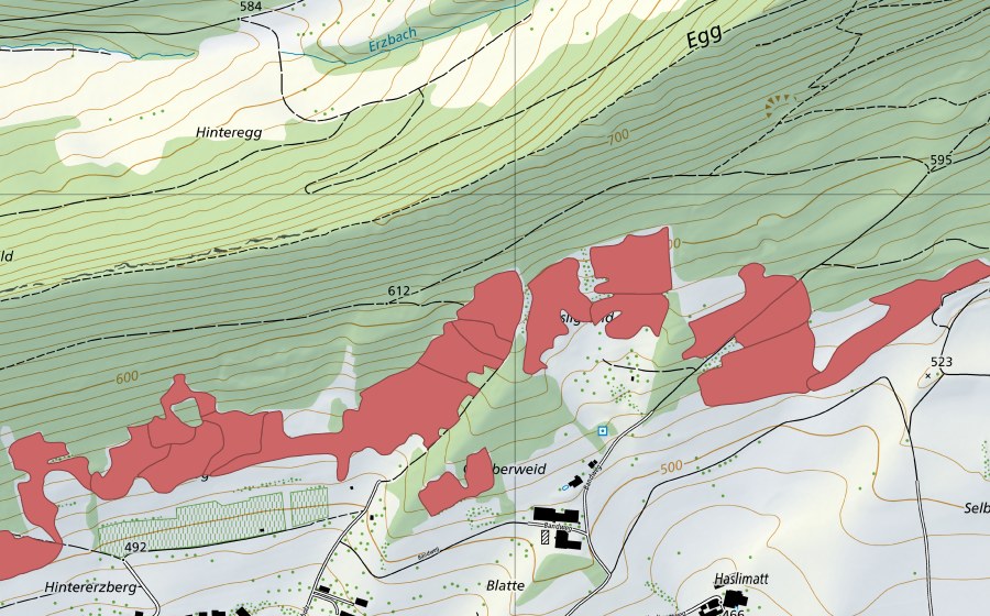 Landeskarte swisstopo mit dem Schutzperimeter von Egg (Trockenwiese)
