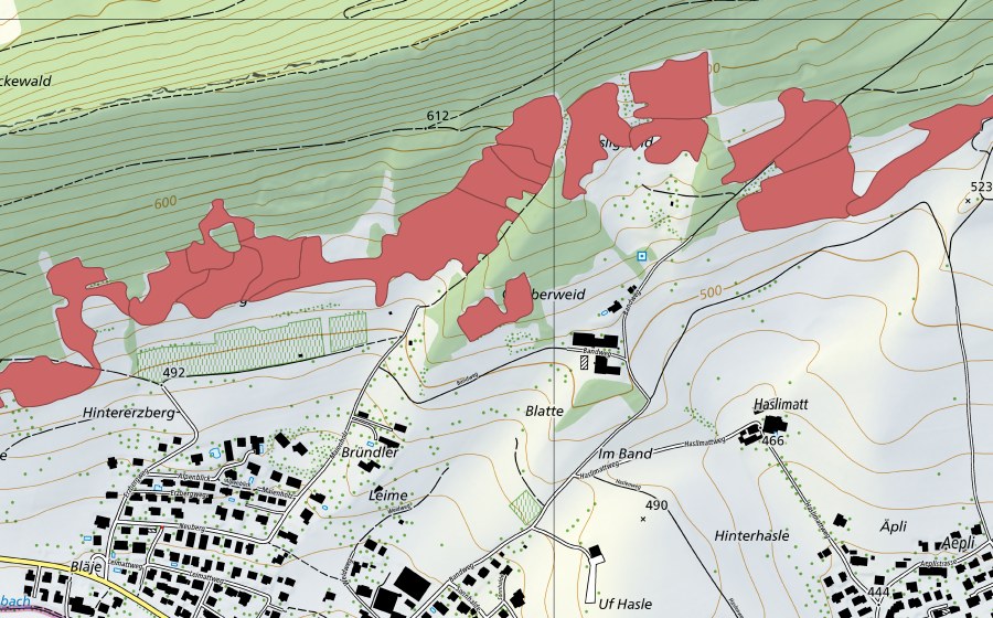 swisstopo national map showing the protected perimeter of Egg (Dry meadow)
