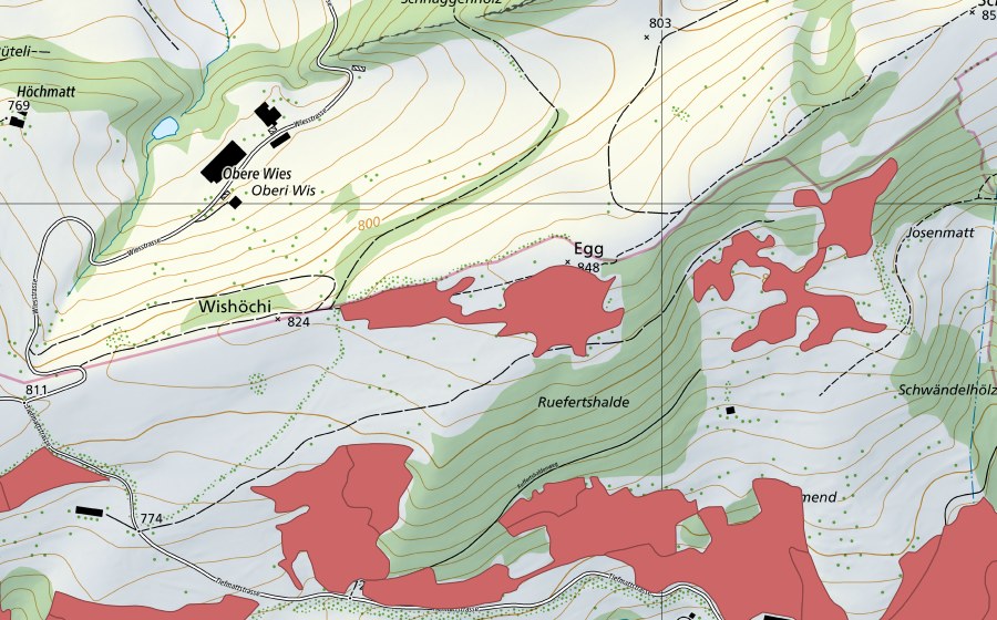 swisstopo national map showing the protected perimeter of Egg (Dry meadow)