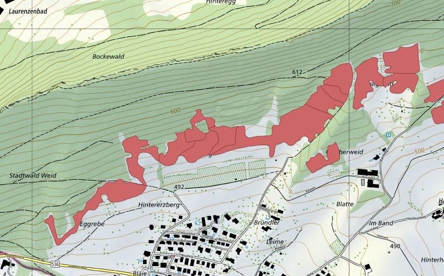 Landeskarte swisstopo mit dem Schutzperimeter von Egg (Trockenwiese)