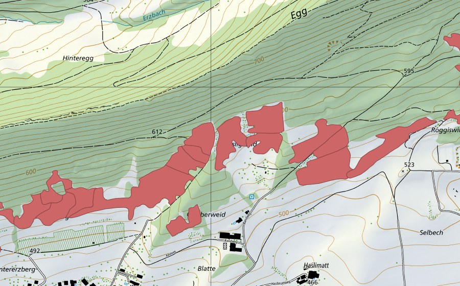 Landeskarte swisstopo mit dem Schutzperimeter von Egg (Trockenwiese)
