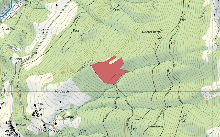swisstopo national map showing the protected perimeter of Egg (Dry meadow)
