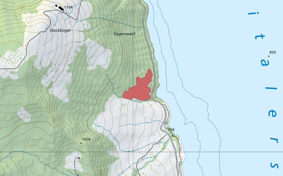 swisstopo national map showing the protected perimeter of Eggenwald (Dry meadow)