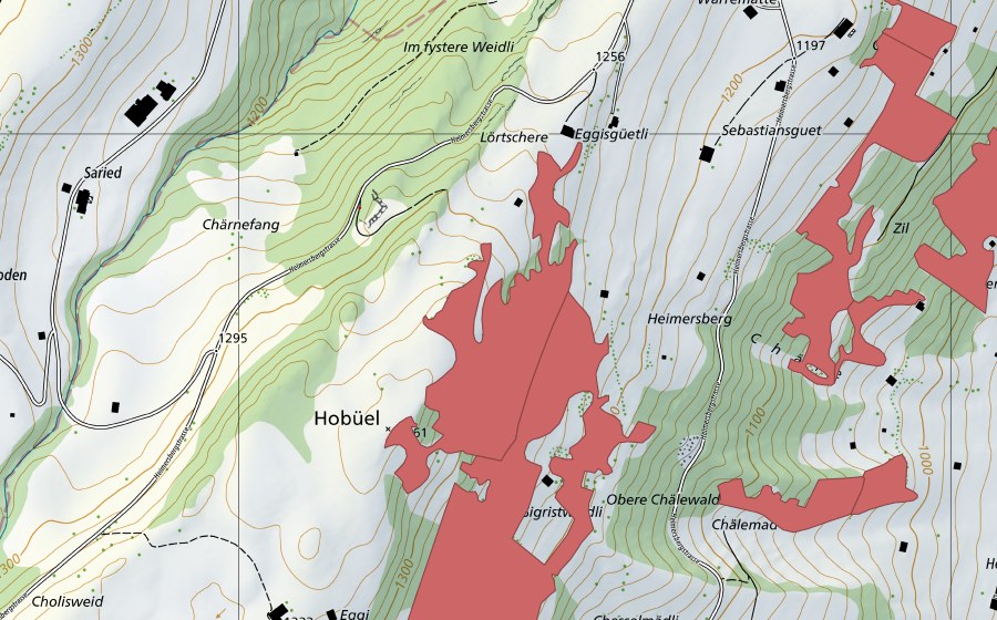 swisstopo national map showing the protected perimeter of Eggi (Dry meadow)