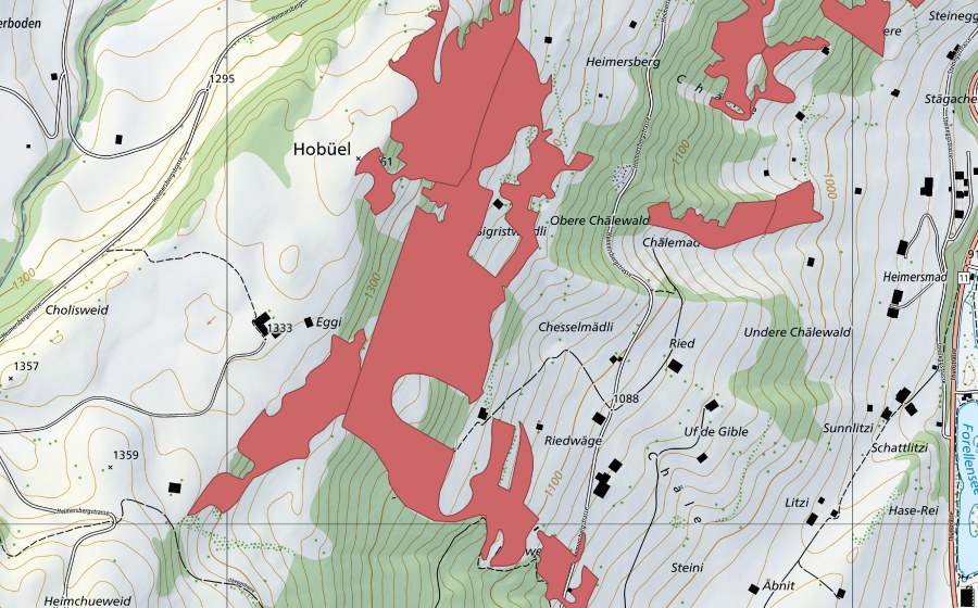 swisstopo national map showing the protected perimeter of Eggi (Dry meadow)