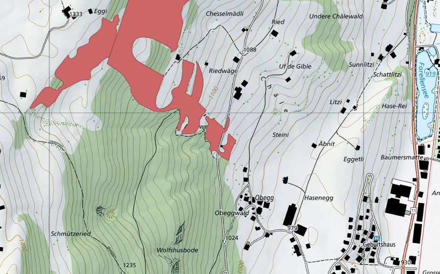 Landeskarte swisstopo mit dem Schutzperimeter von Eggi (Trockenwiese)