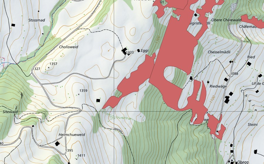 Landeskarte swisstopo mit dem Schutzperimeter von Eggi (Trockenwiese)