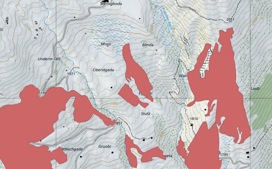 swisstopo national map showing the protected perimeter of Eggschi (Dry meadow)