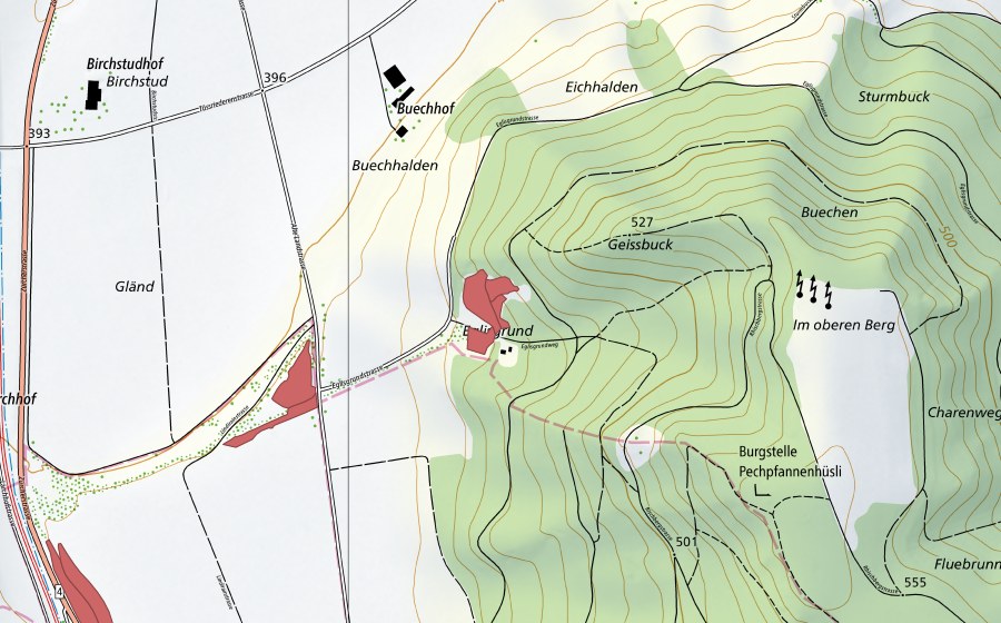 swisstopo national map showing the protected perimeter of Eglisgrund (Dry meadow)