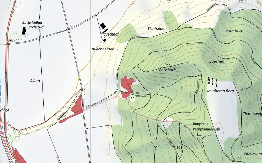 swisstopo national map showing the protected perimeter of Eglisgrund (Dry meadow)