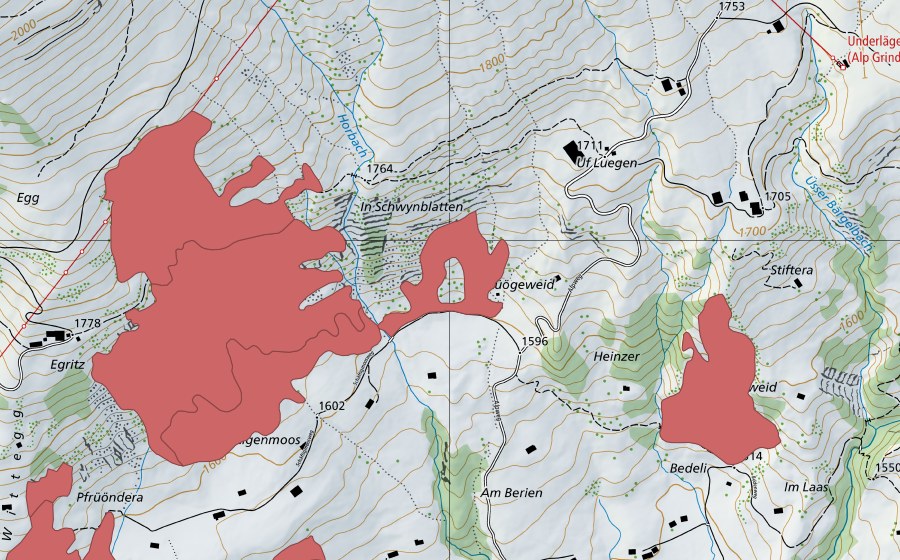 swisstopo national map showing the protected perimeter of Egritz (Dry meadow)