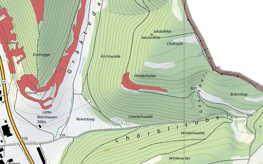 swisstopo national map showing the protected perimeter of Eichhalde (Dry meadow)